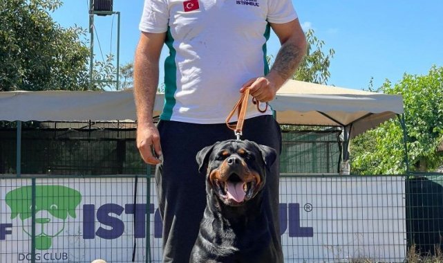 Hause Of İstanbul'da köpekler sosyal yaşama alıştırılıyor