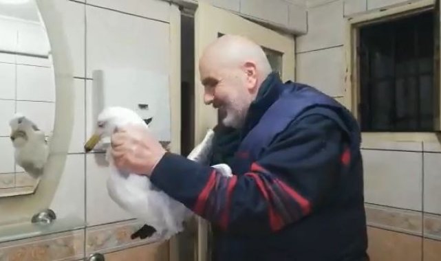 Hava boşluğuna düşen martıyı vatandaşlar kurtardı