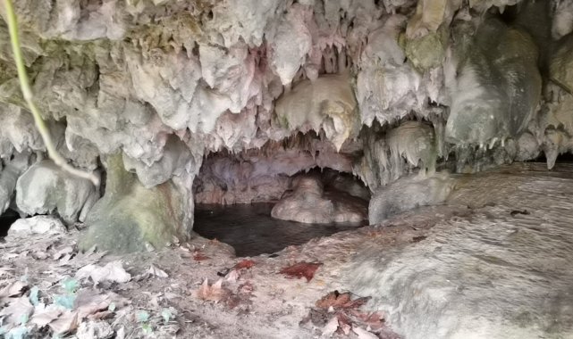 Hayvanlarını otlatırken binlerce yıllık mağarayı buldular