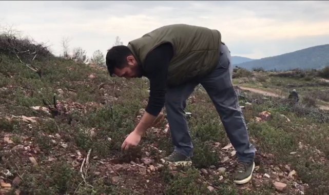 Hedef 20 bin tohum topu