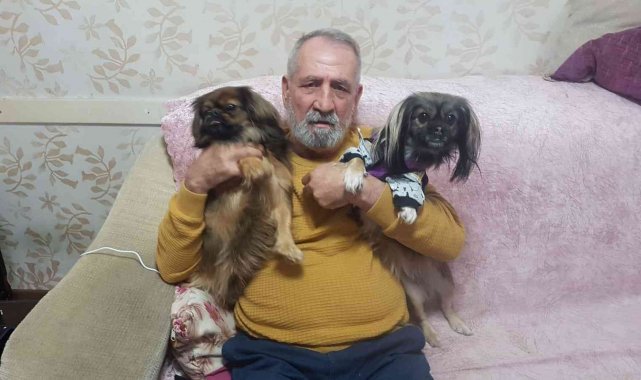 Her yerde kaybolan köpeklerini arıyorlar