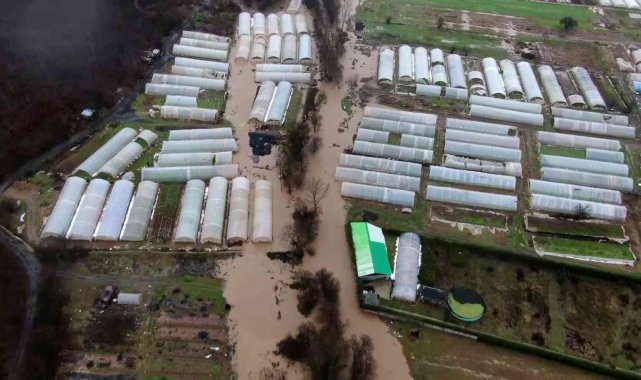 İBB'nin köprü inşaatı yarıda kaldı, derenin taşmasıyla seralar su altında kaldı