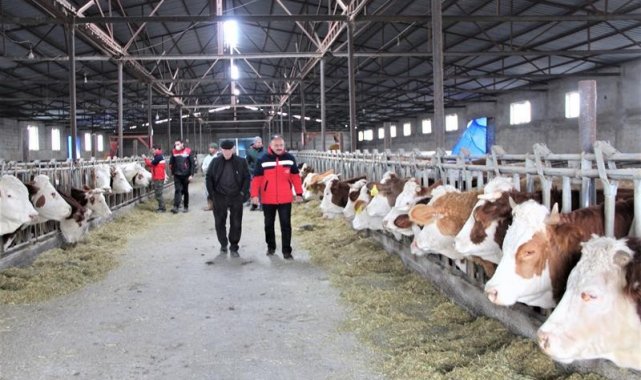 Iğdır&#039;da hayvanlar için aşılama çalışmaları devam ediyor