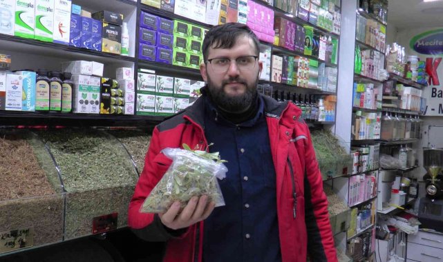 Ihlamurun kilosu 350 TL&#039;den alıcı buluyor