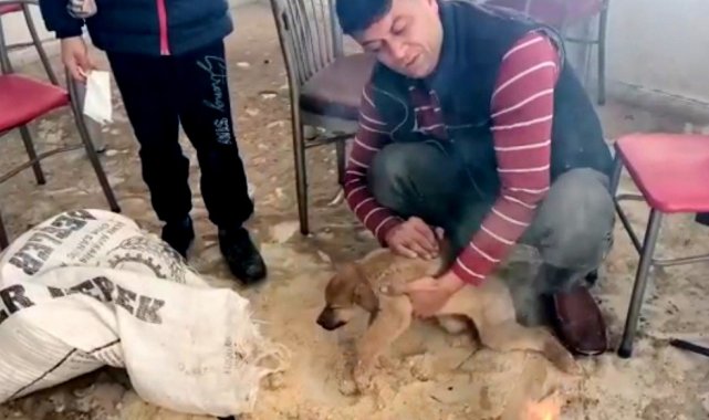 İnsanlık ölmemiş dedirten davranış