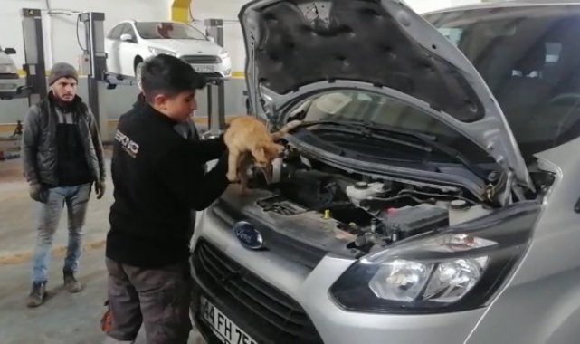 Isınmak için girdiği aracın motorundan çıkmak istemedi
