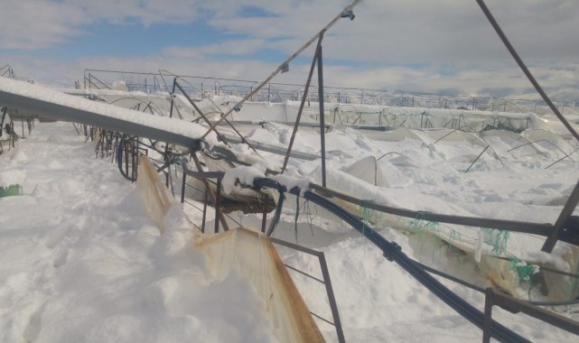 Isparta&#039;da seralar yoğun kar yağışına dayanamadı