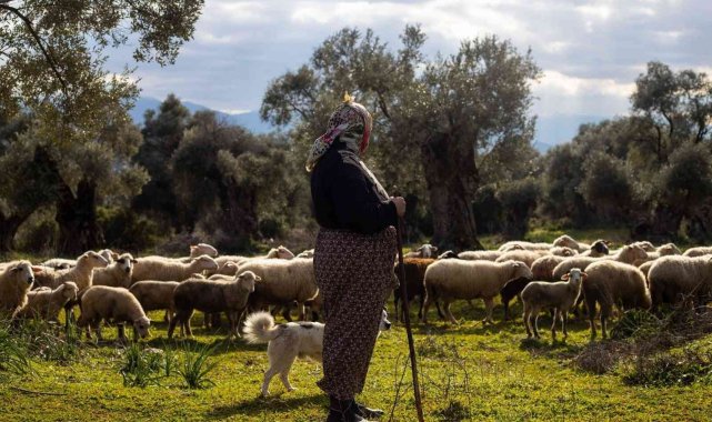 İzmir Büyükşehir Belediyesinden çiftçilere ücretsiz danışmanlık hizmeti