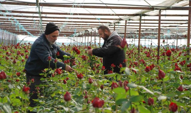 İzmir Menderes&#039;te yoğun 14 Şubat mesaisi