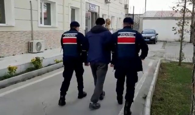 İzmir'de jandarmadan terör operasyonu: 14 gözaltı