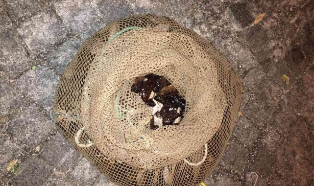 İzmir&#039;de kaçak avlanan bir kişiye, 24 bin 677 lira ceza kesildi