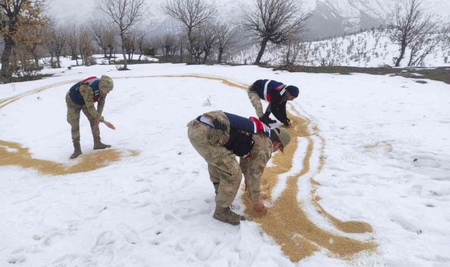 Jandarma ekipleri yaban hayvanlarını unutmadı: Doğaya yem bıraktı