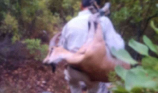 Kaçak yaban keçisi avına 420 bin TL ceza