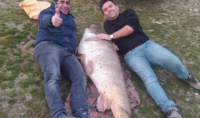 Kahta'da insan boyunda turna balığı yakalandı