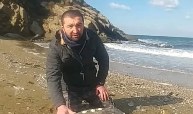 Kapıdağ sahillerinde ölü Caretta Caretta bulundu