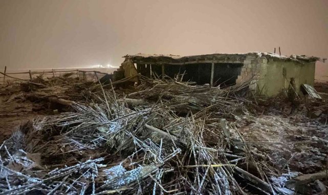 Kar yağışına dayanamayan ağıl çöktü: 13 hayvan telef oldu