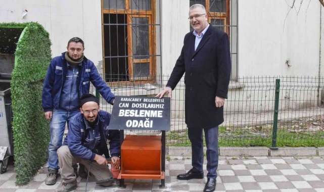 Karacabey'de sokak hayvanları sahipsiz değil