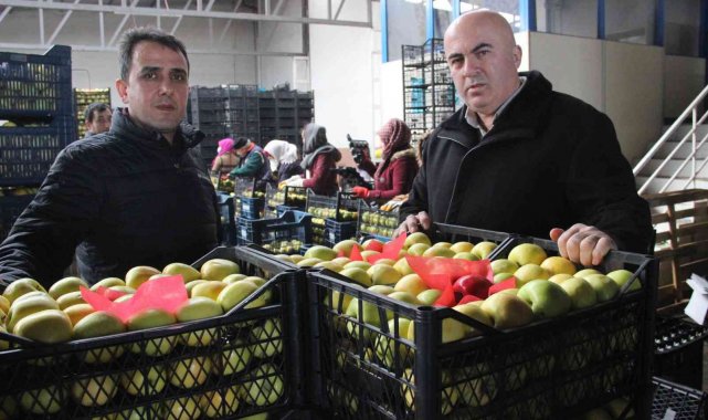 Karaman&#039;dan Libya&#039;ya elma ihracatı arttı