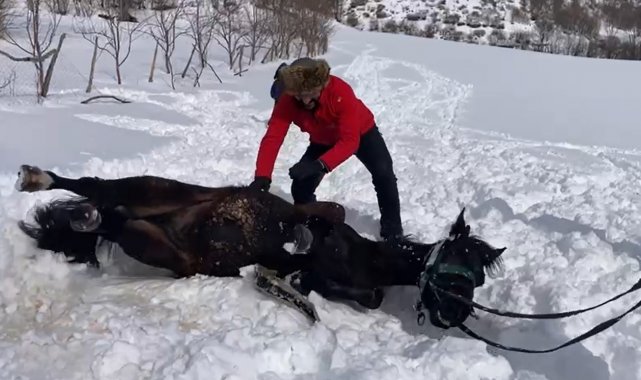 Karayelin kar sevinci görenlerin yüreğini ısıttı