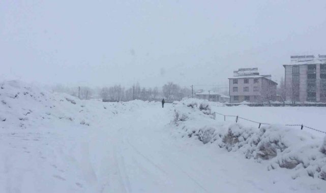 Karlıova'da kar yağışı etkili oldu