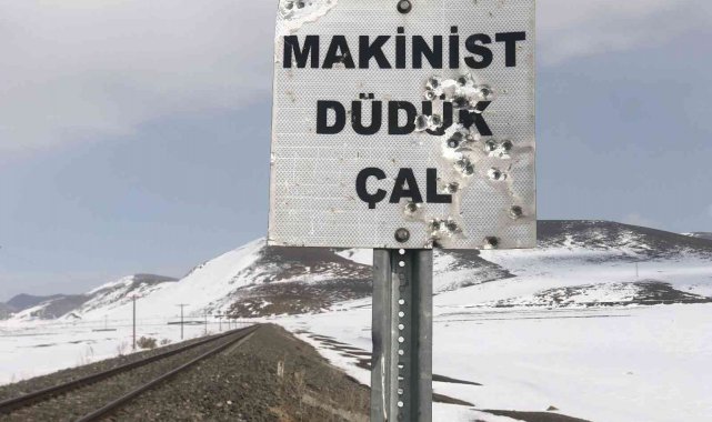 Kars'ta, tabelalar magandaların hedef tahtası oldu