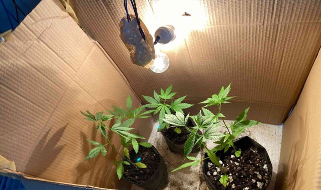 Karton kutuda uyuşturucu üretimine baskın