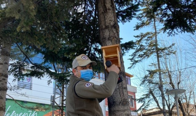 Kastamonu'da çeşitli noktalara kuş yuvaları asılarak yem bırakıldı
