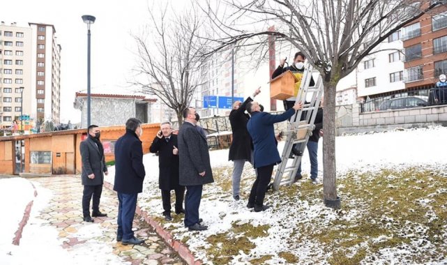 Kastamonu'da kuşlar için yem dağıtıldı
