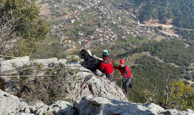 Kayalıklarda mahsur kalan keçi 5 gün sonra kurtarıldı