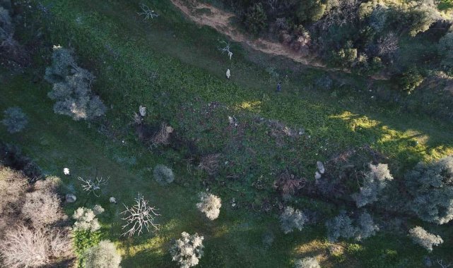 Kaybolan Alzheimer hastasını drone ile buldular
