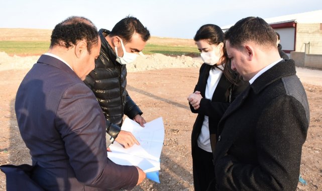 Kaymakam talimat verdi, Nusaybin&#039;e hayvan barınağı yapılıyor
