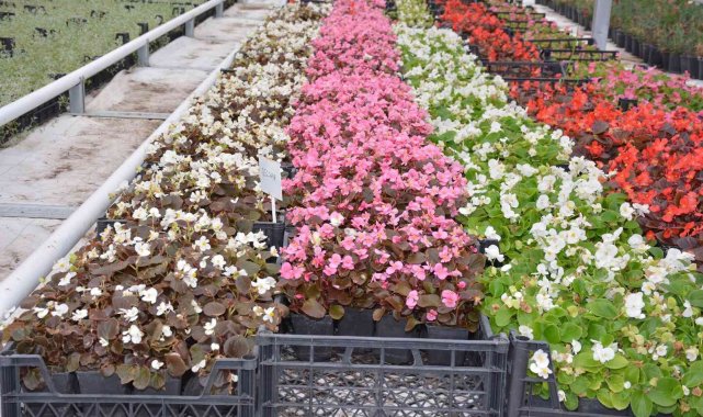 Keçiören'de rengarenk üretim