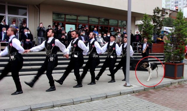 Kemençe sesini duyan köpek horon ekibinin peşine takıldı