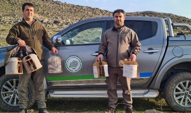 Kınalı keklik avcılarına suçüstü yakalandı