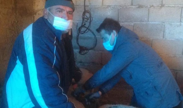 Kırklareli'nde hayvanlarda aşılama başladı