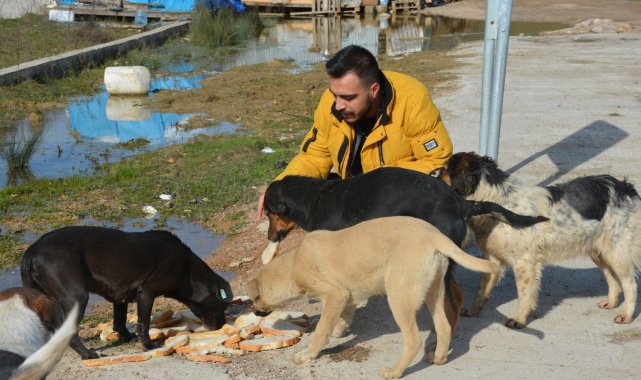 Kırsalda yaşayan sokak hayvanları unutulmadı