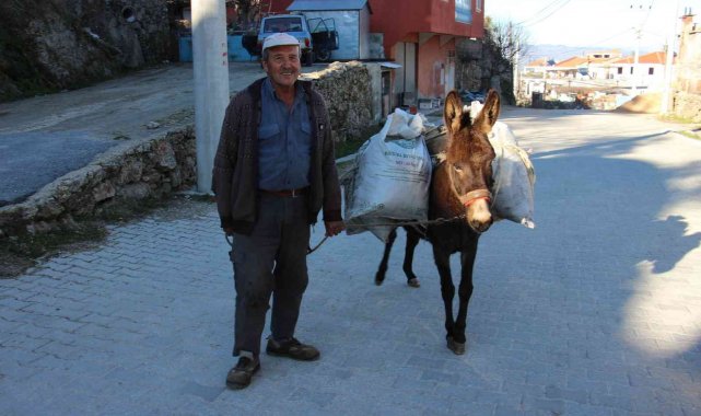 Kırsaldaki yük hayvanları kıymete bindi