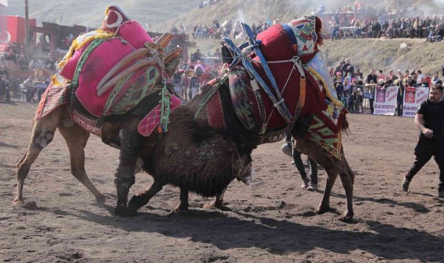 Kıyasıya mücadele eden pehlivan devler arenayı ısıttı