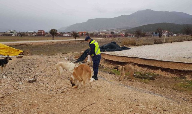 Kokuteli'de jandarmadan anlamlı davranış