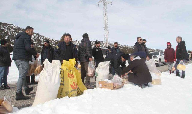Konya'da ağır kış şartlarında doğadaki hayvanlar unutulmadı
