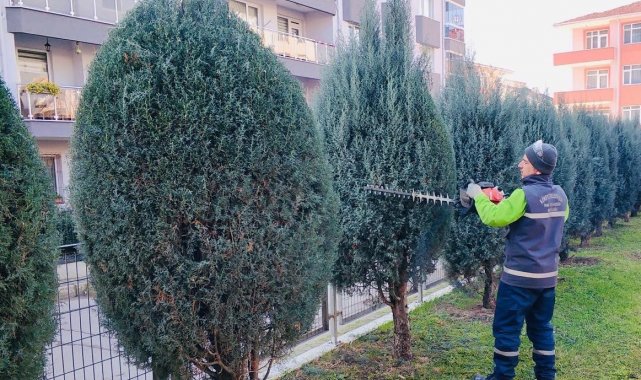 Körfez'de yeşil alanlar bakımdan geçiyor