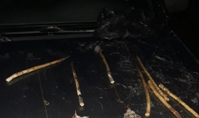 Koruma altındaki ökse ardıç kuşu avlayan şahsa 8 bin 709 lira ceza