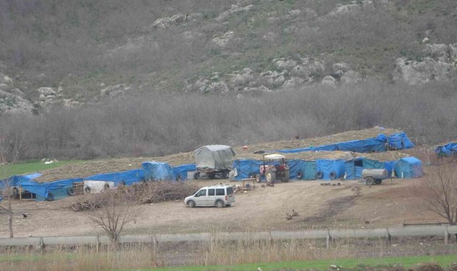 Koyunu kurtarmak isteyen çobanın feci ölümü