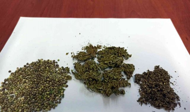 Kullandıkları uyuşturucuyu araziye attılar, jandarmadan kaçamadılar