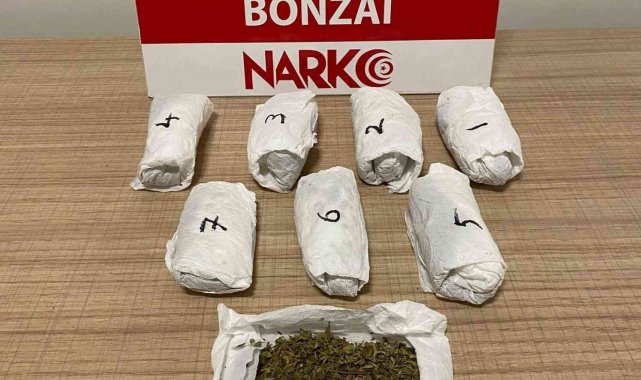 Kütahya'da bir şahsın üzerinde bonzai ele geçirildi