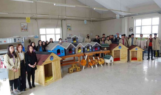 Lise öğrencileri 'can dostlar' için kulübe üretti