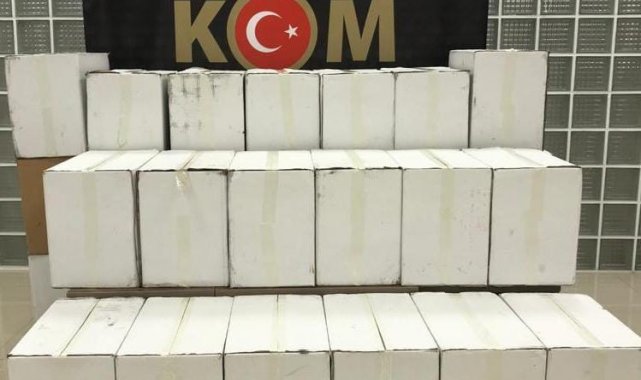 Manisa&#039;da 230 bin makaron ele geçirildi