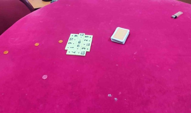 Manisa'da kahvehaneye kumar baskını