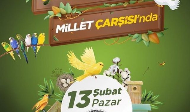 Manisa&#039;da kul pazarı kurulacak