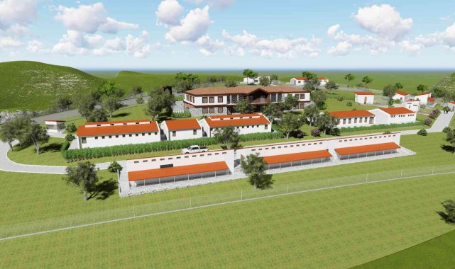 Manisa'da sokak hayvanları doğal yaşam parkında rehabilite edilecek